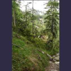 2007-05_09Saletsteig (121).JPG